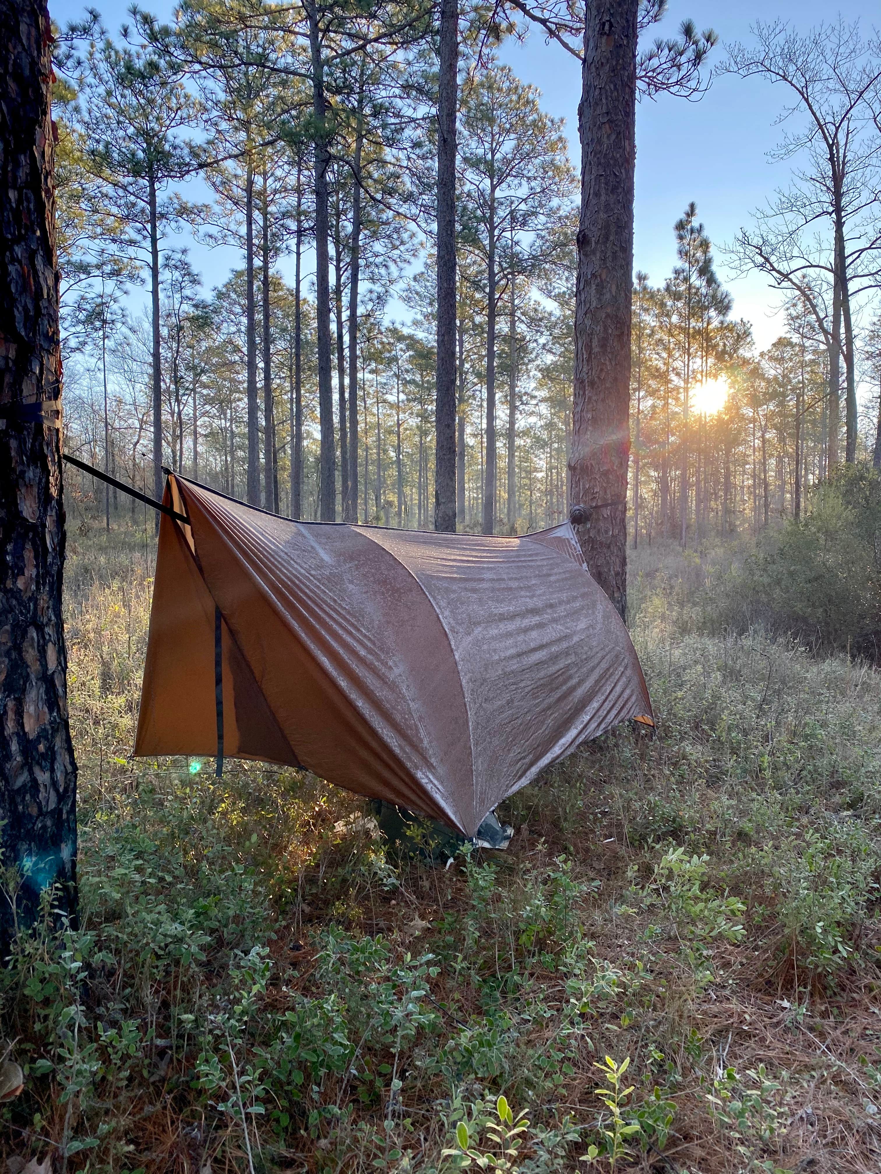 Wayne H.'s photo of tent camping at Black Water River State Forest Primitive Camping near Elberta, AL