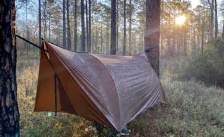 Wayne H.'s photo of tent camping at Black Water River State Forest Primitive Camping near Perdido, AL