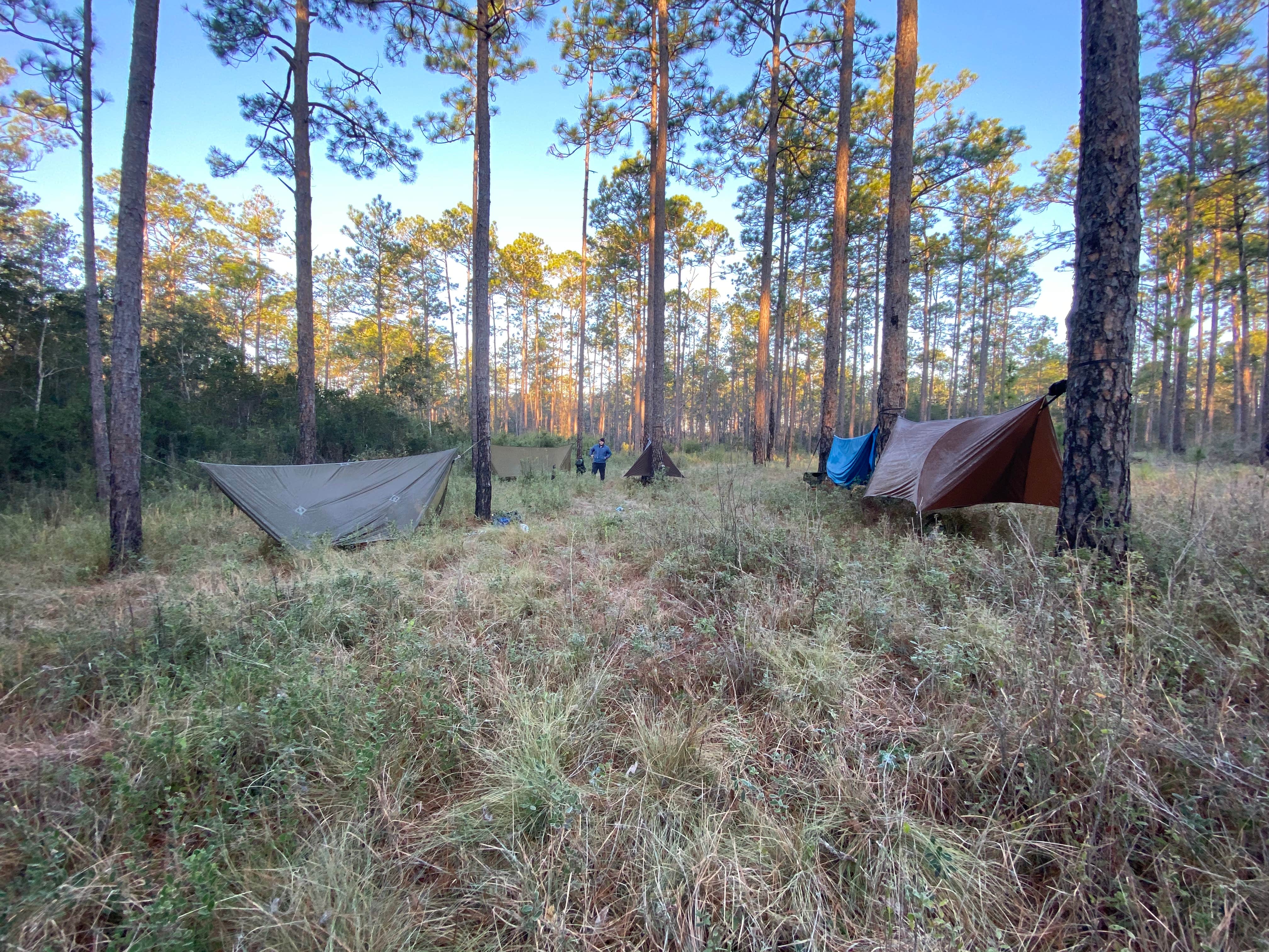 Black river state outlet forest backpacking