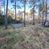 Review photo of Black Water River State Forest Primitive Camping by Wayne H., March 8, 2021