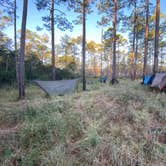 Review photo of Black Water River State Forest Primitive Camping by Wayne H., March 8, 2021