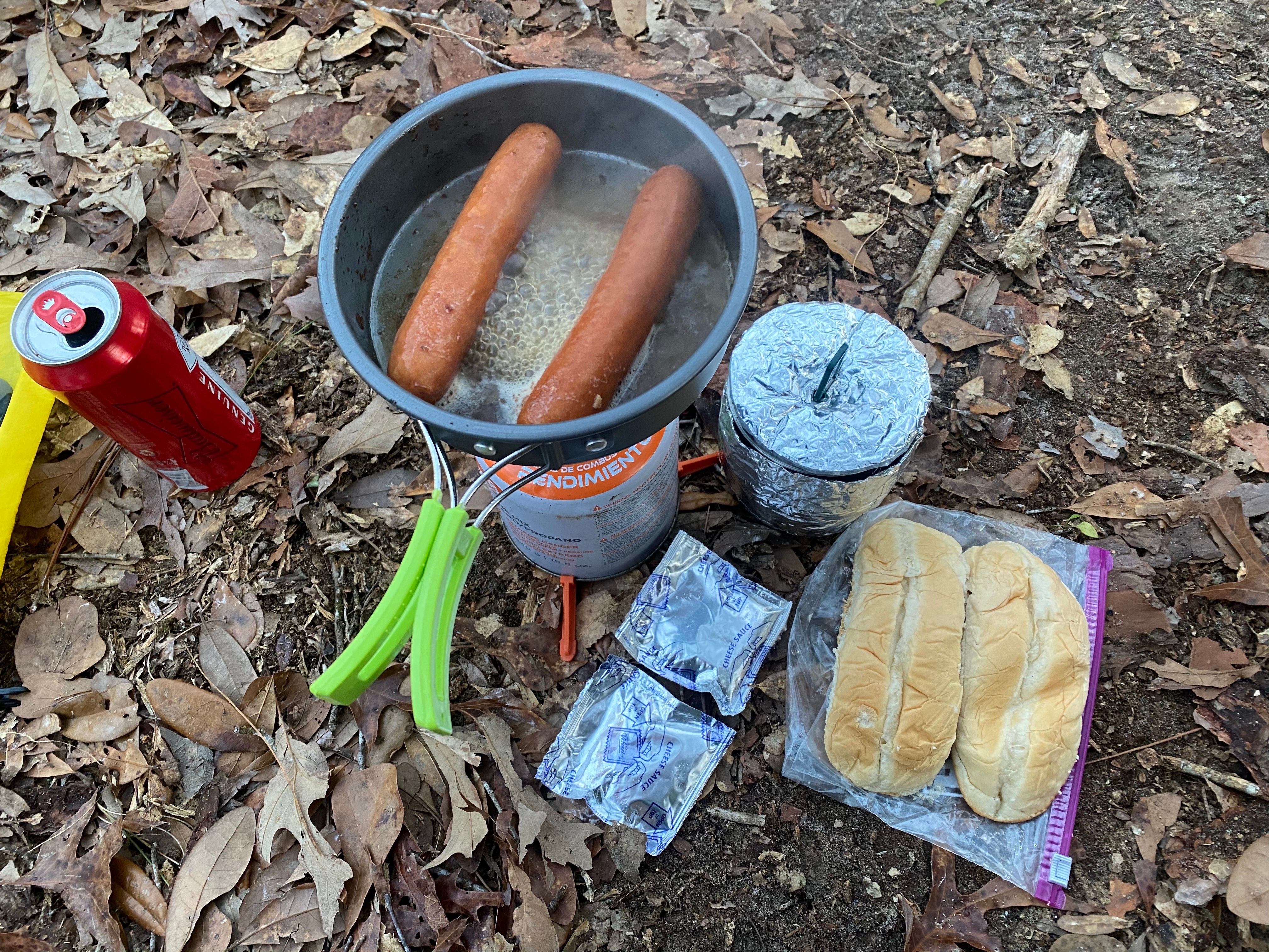 Camper submitted image from Black Water River State Forest Primitive Camping - 4