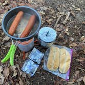 Review photo of Black Water River State Forest Primitive Camping by Wayne H., March 8, 2021