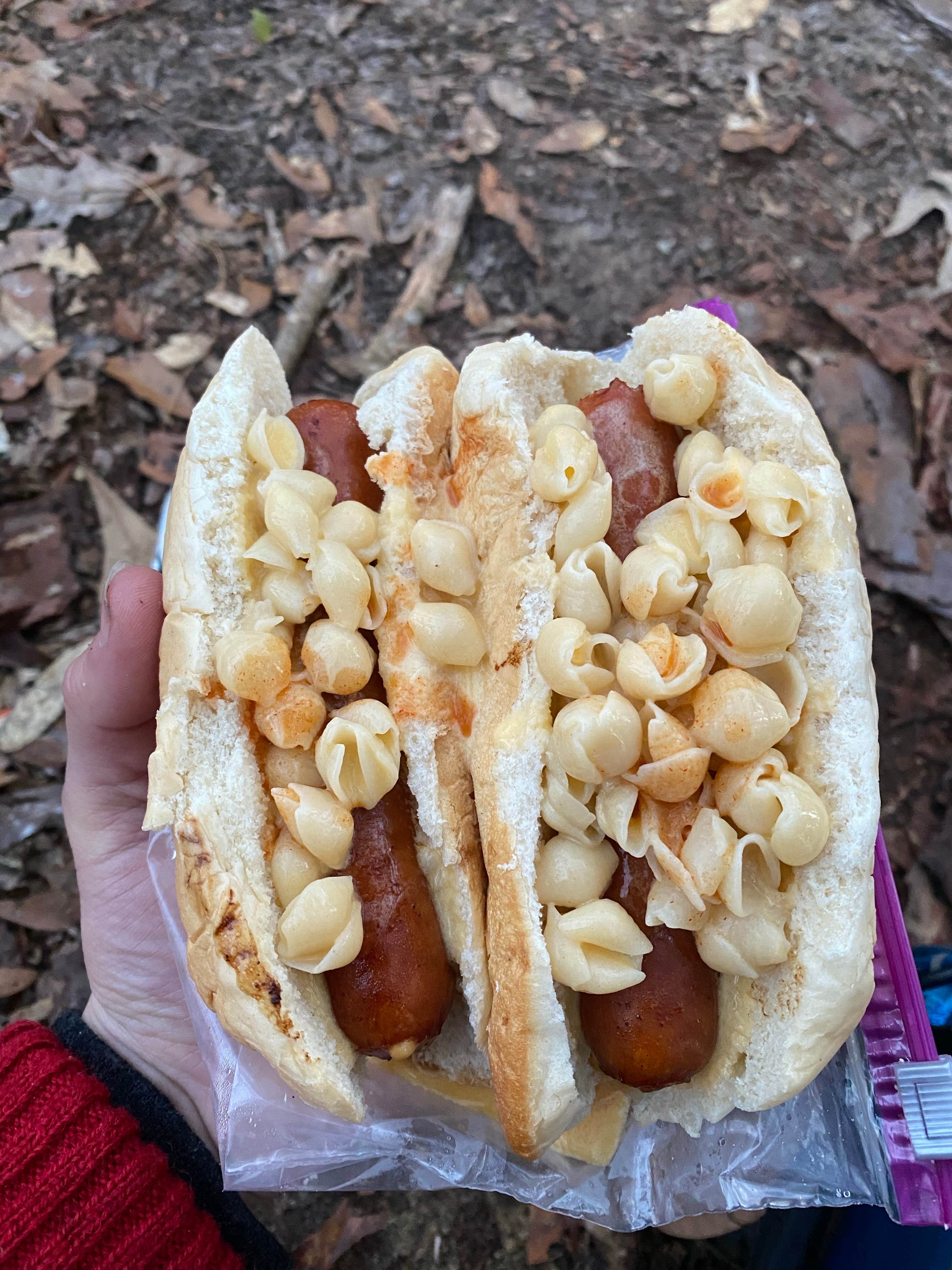Wayne H.'s photo of camping with pets at Black Water River State Forest Primitive Camping near Crestview, FL