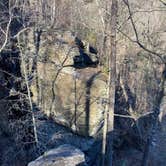 Review photo of Raven Cliff Falls by Wayne H., March 8, 2021