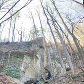 Review photo of Raven Cliff Falls by Wayne H., March 8, 2021