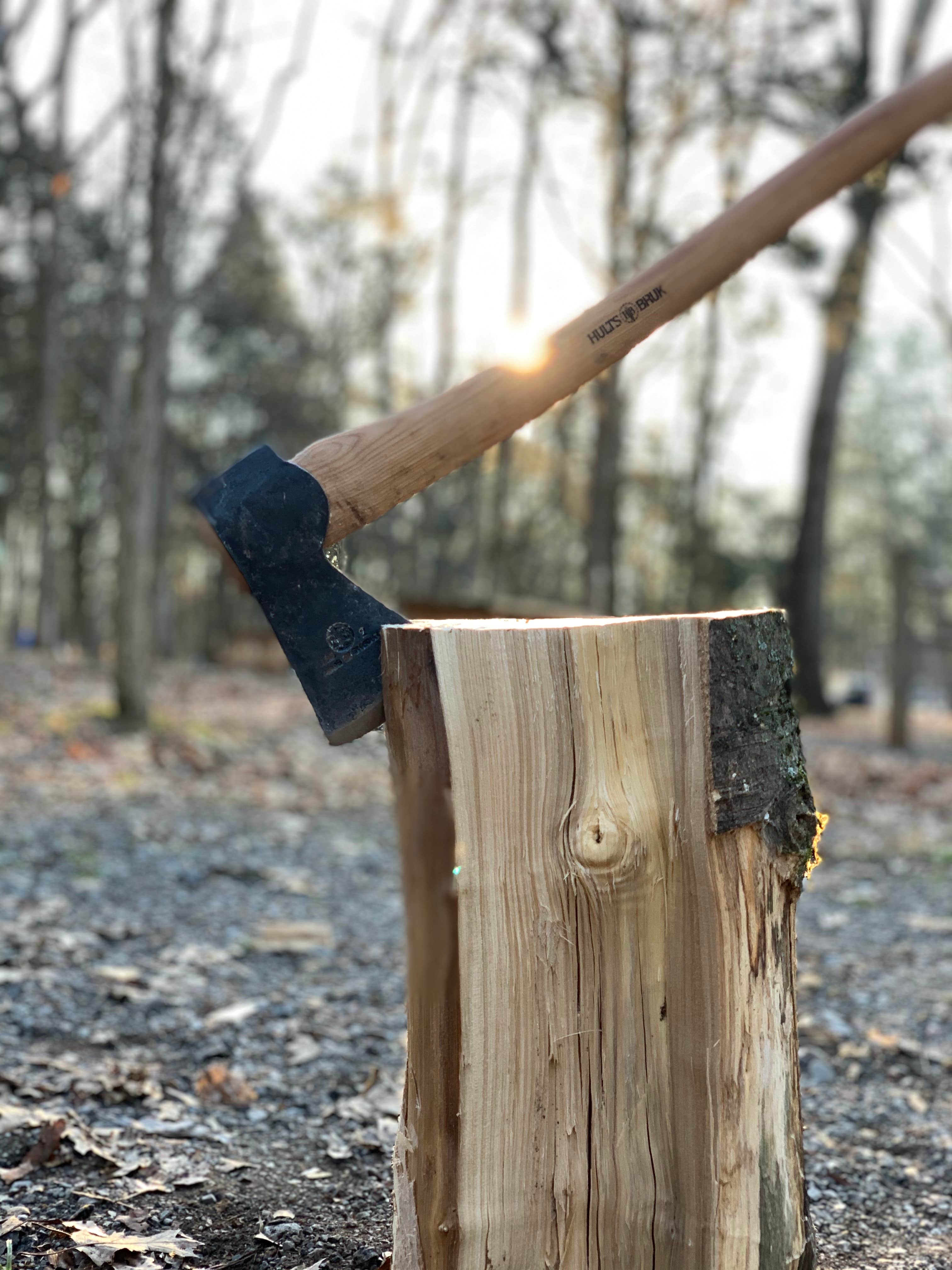 Camper-submitted photo at Bledsoe Creek State Park Campground near Springfield, TN