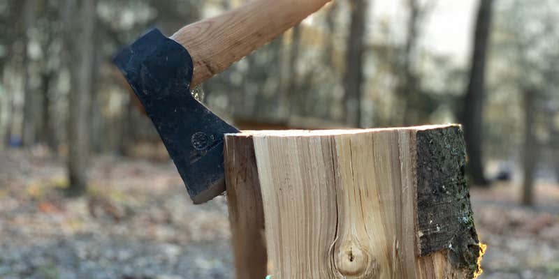 Camper submitted image from Bledsoe Creek State Park Campground