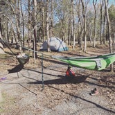 Review photo of Bledsoe Creek State Park Campground by Robbie M., March 8, 2021