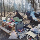Review photo of Bledsoe Creek State Park Campground by Robbie M., March 8, 2021