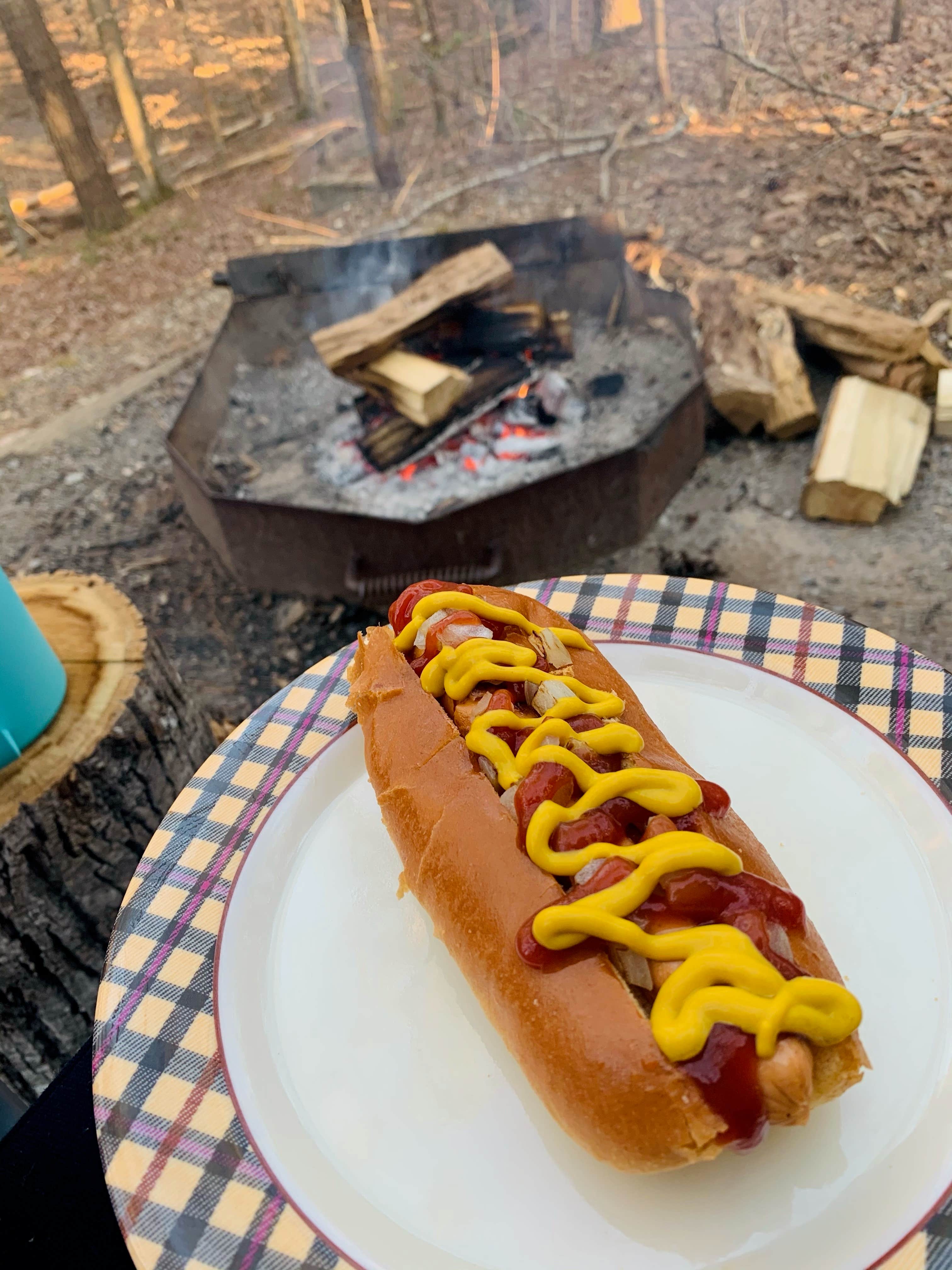 Jeff A.'s photo of camping with pets at Oak Mountain State Park Campground near Gurley, AL