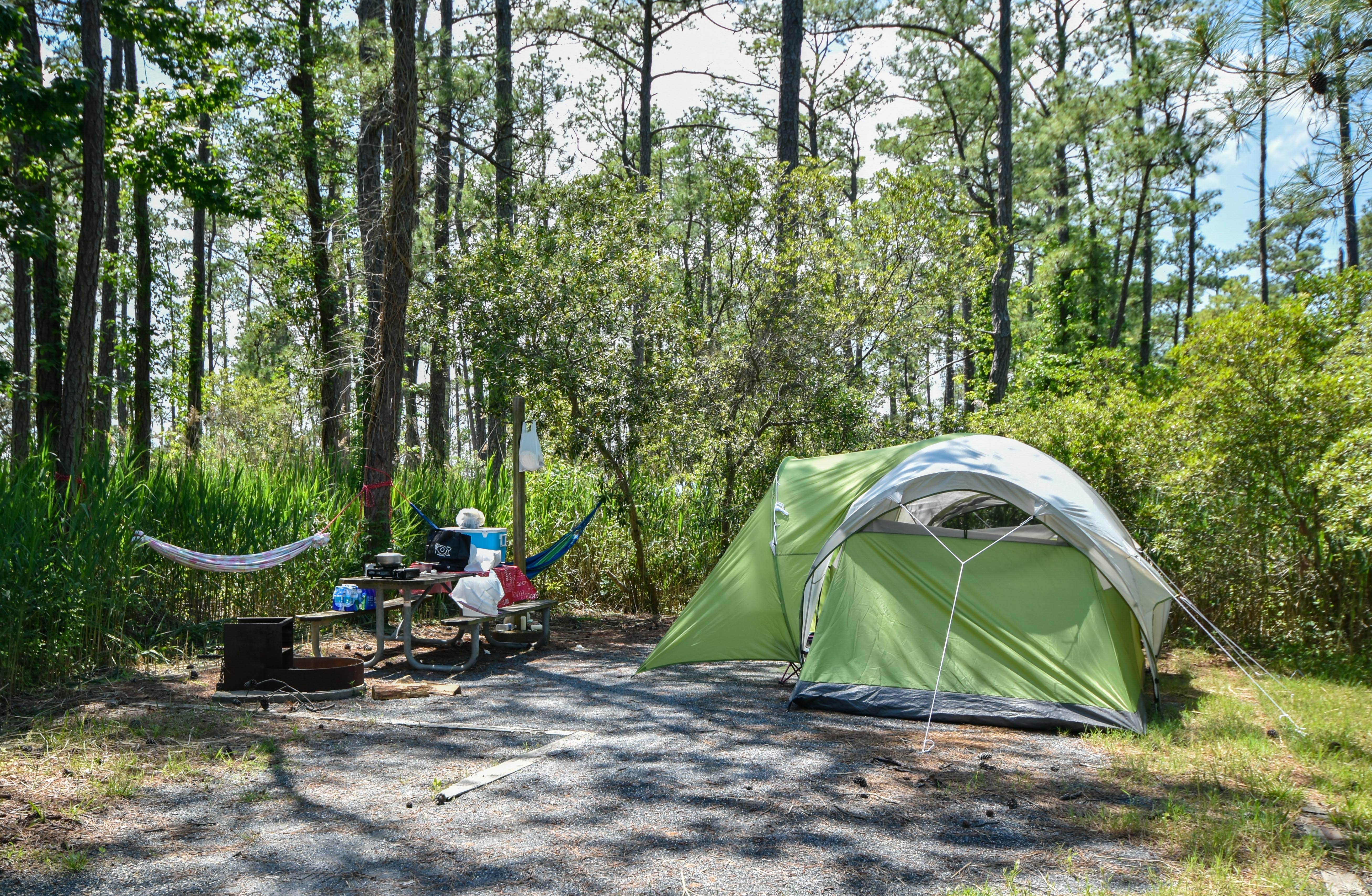 Camper submitted image from Point Lookout State Park - Temporarily Closed - 5