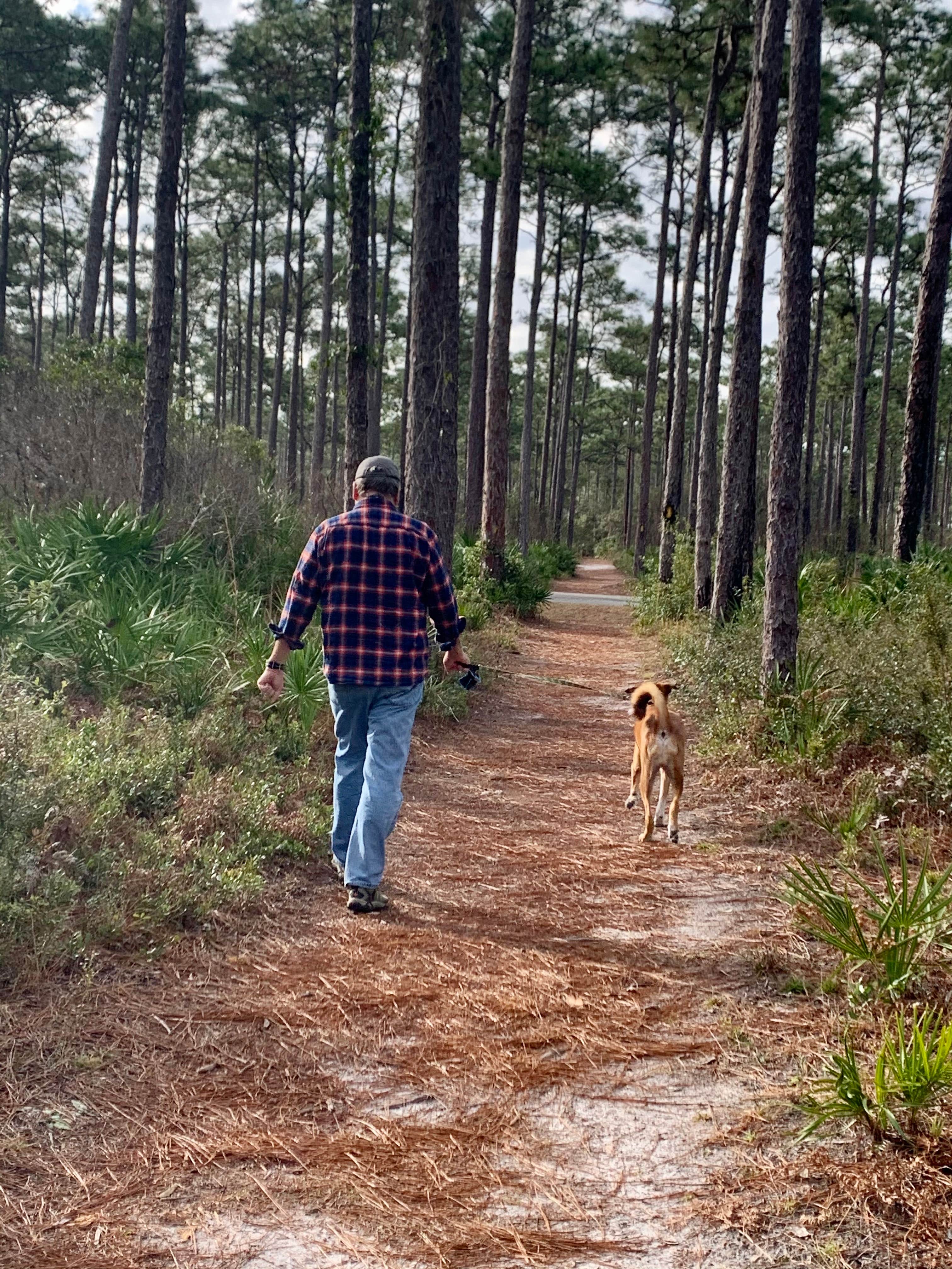 Karlyn L.'s photo of camping with pets at Crooked River State Park Campground near Brunswick, GA
