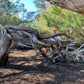 Review photo of Crooked River State Park Campground by Karlyn L., March 8, 2021