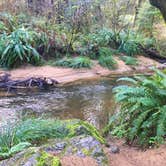 Review photo of Beverly Beach State Park Campground by Rocco , March 8, 2021