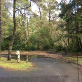 Review photo of Beverly Beach State Park Campground by Rocco , March 8, 2021