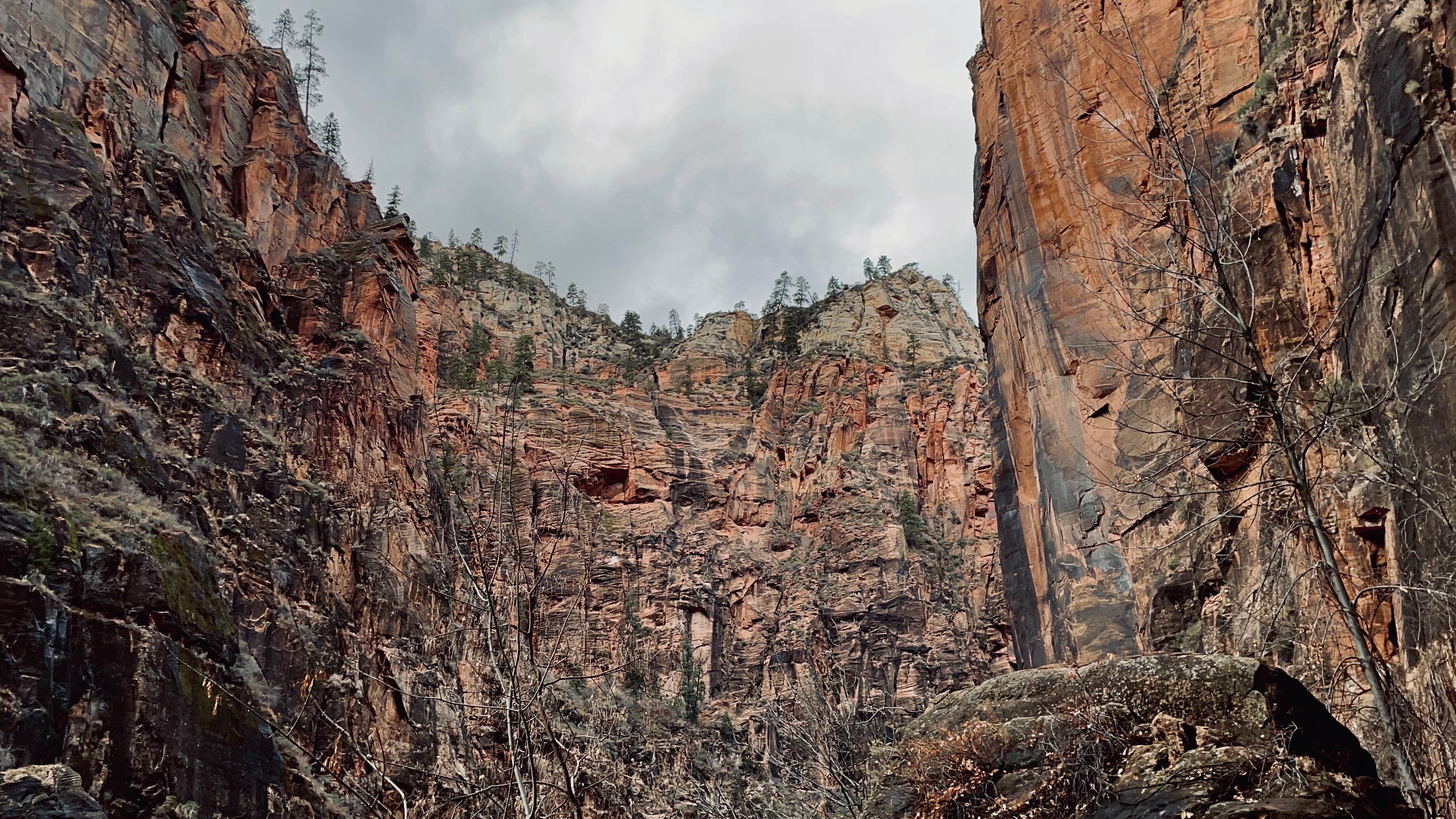Camper-submitted photo at Watchman Campground — Zion National Park near Rockville, UT