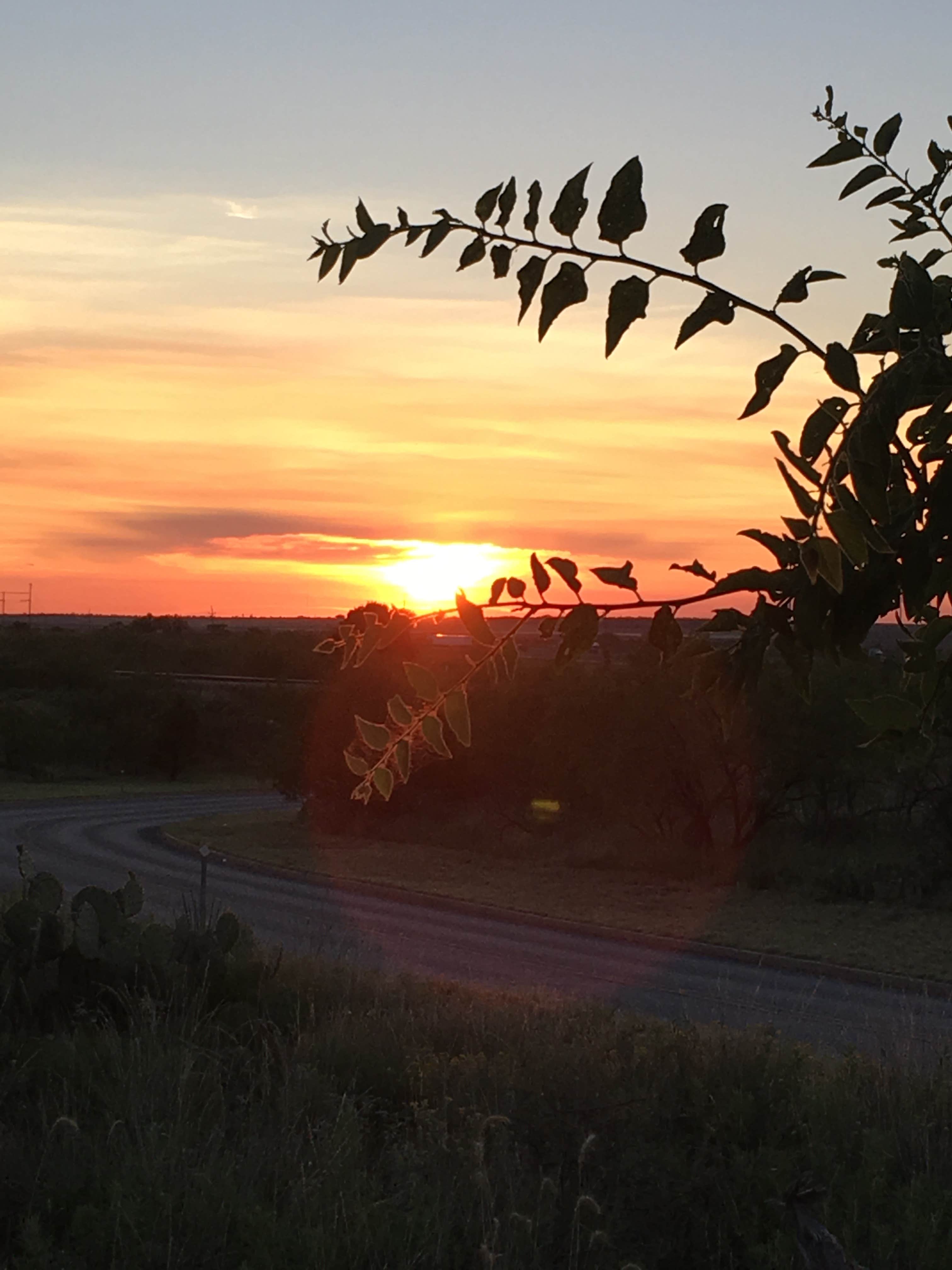 Camper-submitted photo at MS G's RV Park, LLC near Snyder, TX