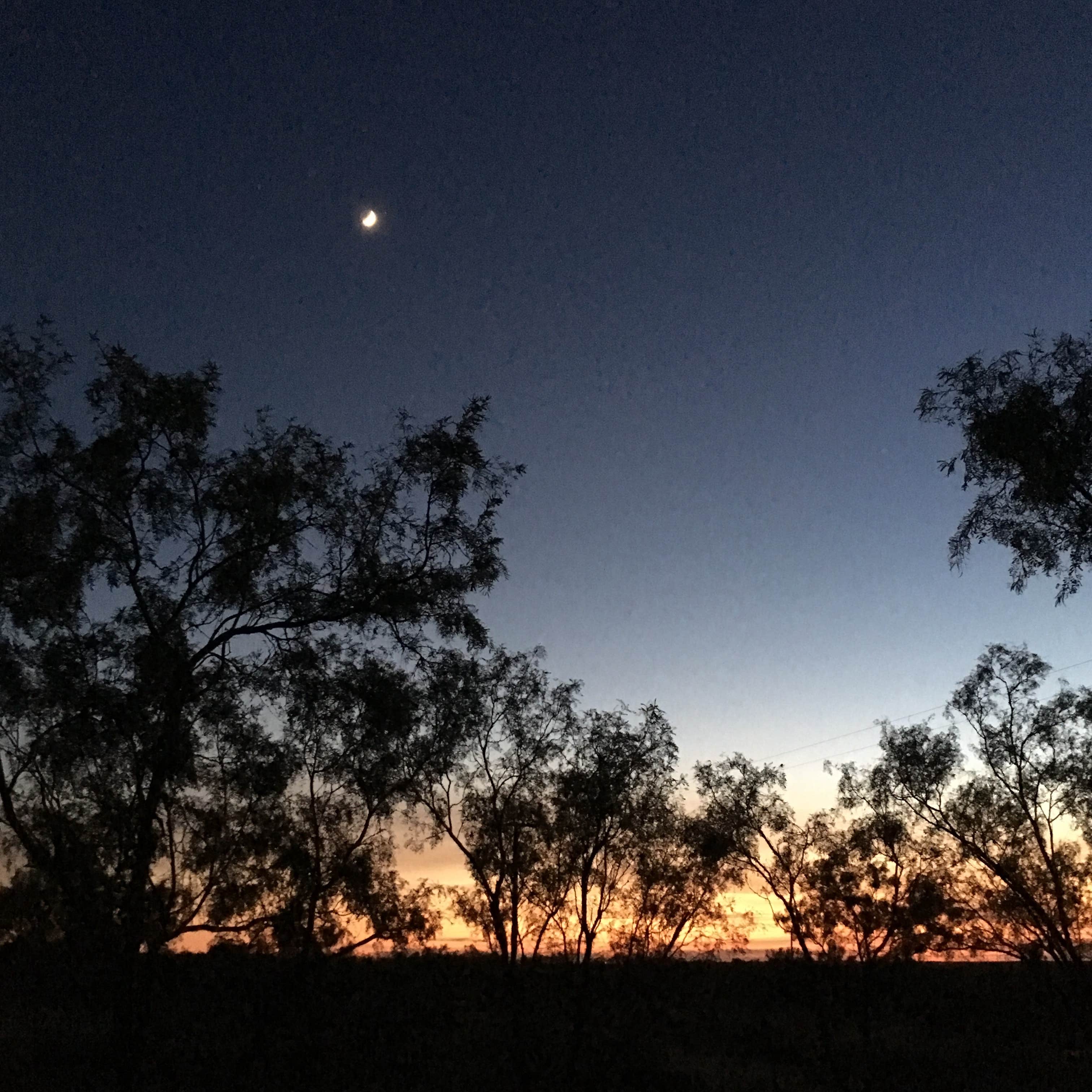 Camper-submitted photo at MS G's RV Park, LLC near Snyder, TX