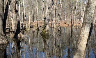 Camping near Town Creek: Pickensville Campground, Brooksville, Alabama
