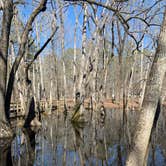 Review photo of Pickensville Campground by Neil T., March 8, 2021