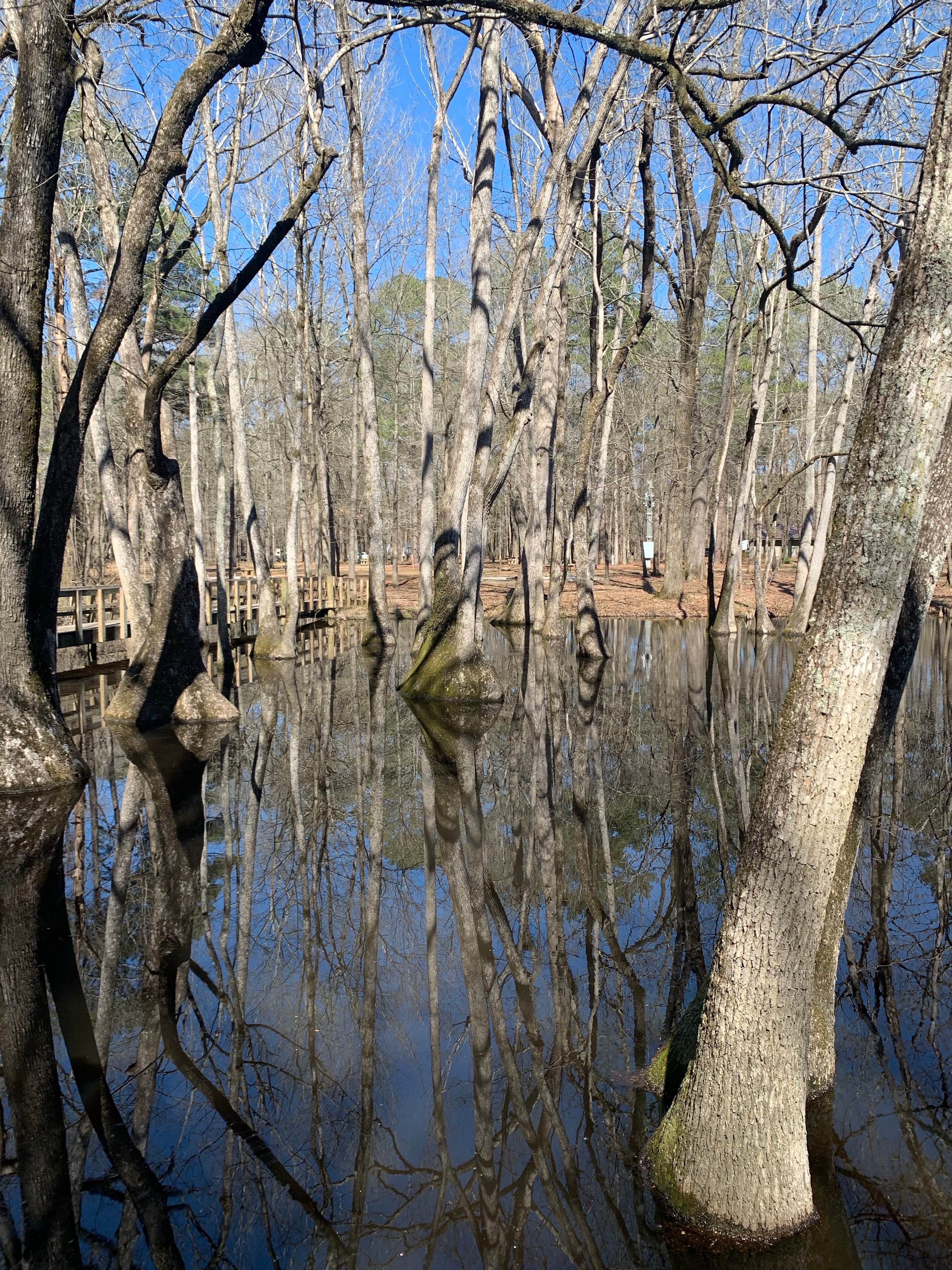 Camper submitted image from Pickensville Campground - 1