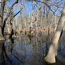 Pickensville Campground