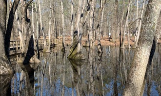 Camping near Town Creek Campground - West Point - MS: Pickensville Campground, Brooksville, Alabama