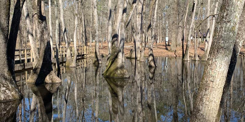 Camper submitted image from Pickensville Campground