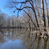 Review photo of Pickensville Campground by Neil T., March 8, 2021