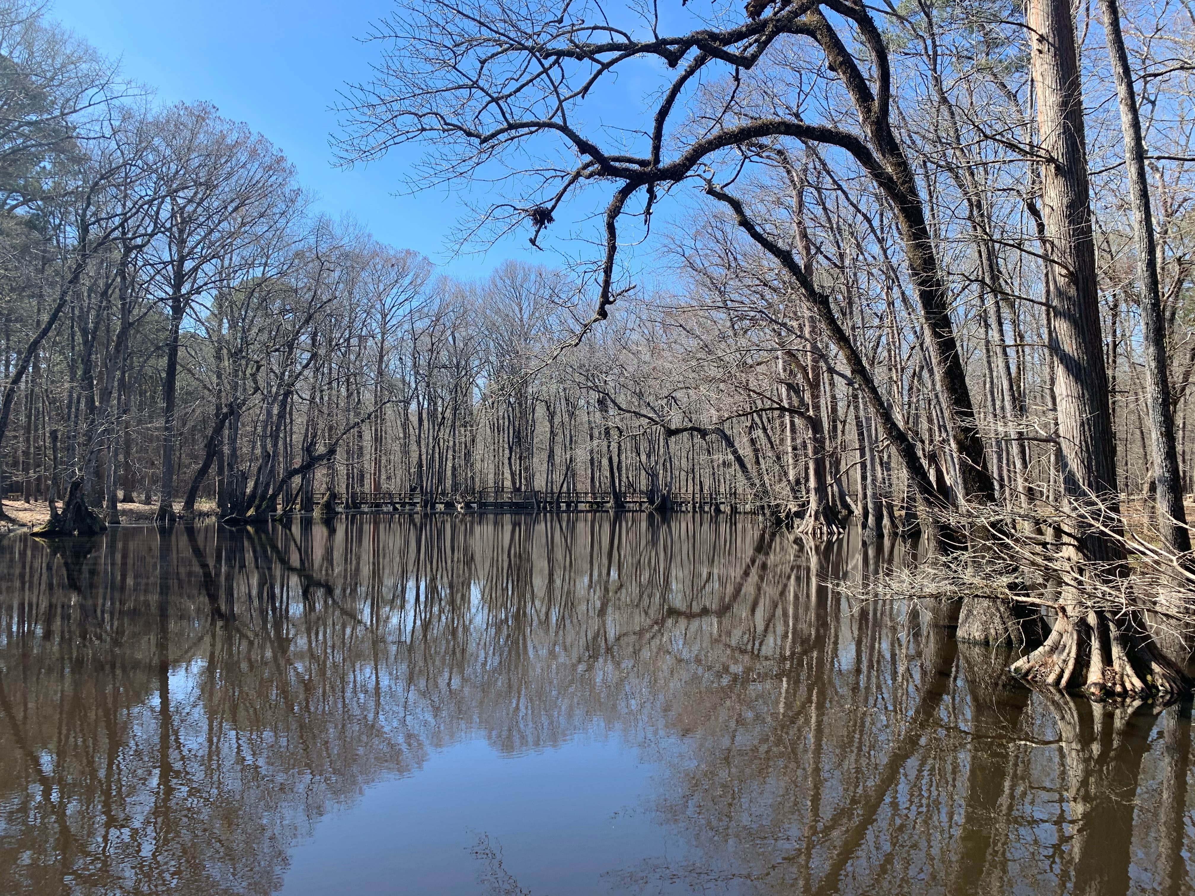 Camper submitted image from Pickensville Campground - 4