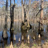 Review photo of Pickensville Campground by Neil T., March 8, 2021