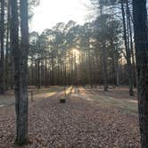 Review photo of Pickensville Campground by Neil T., March 8, 2021