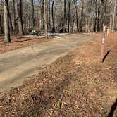 Review photo of Pickensville Campground by Neil T., March 8, 2021