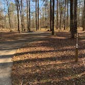 Review photo of Pickensville Campground by Neil T., March 8, 2021