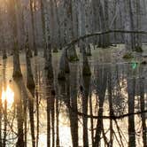 Review photo of Pickensville Campground by Neil T., March 8, 2021