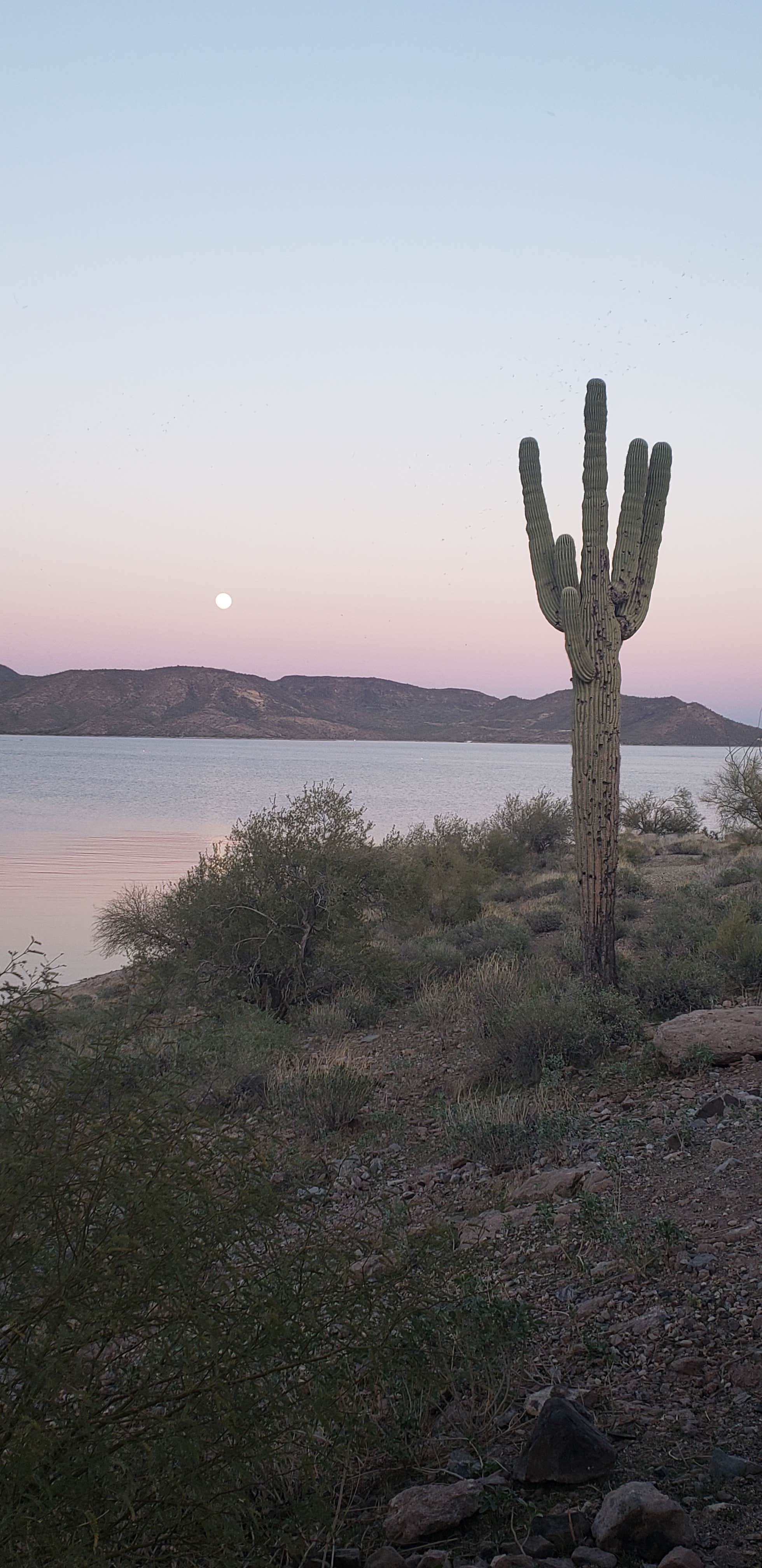 Camper-submitted photo at Lake Pleasant Regional Park Campground in Arizona