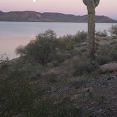 Review photo of Lake Pleasant Regional Park Campground by Peggy G., March 8, 2021