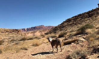 Camping near Lees Ferry Campground — Glen Canyon National Recreation Area: Soap Creek - Dispersed Camping, Marble Canyon, Arizona