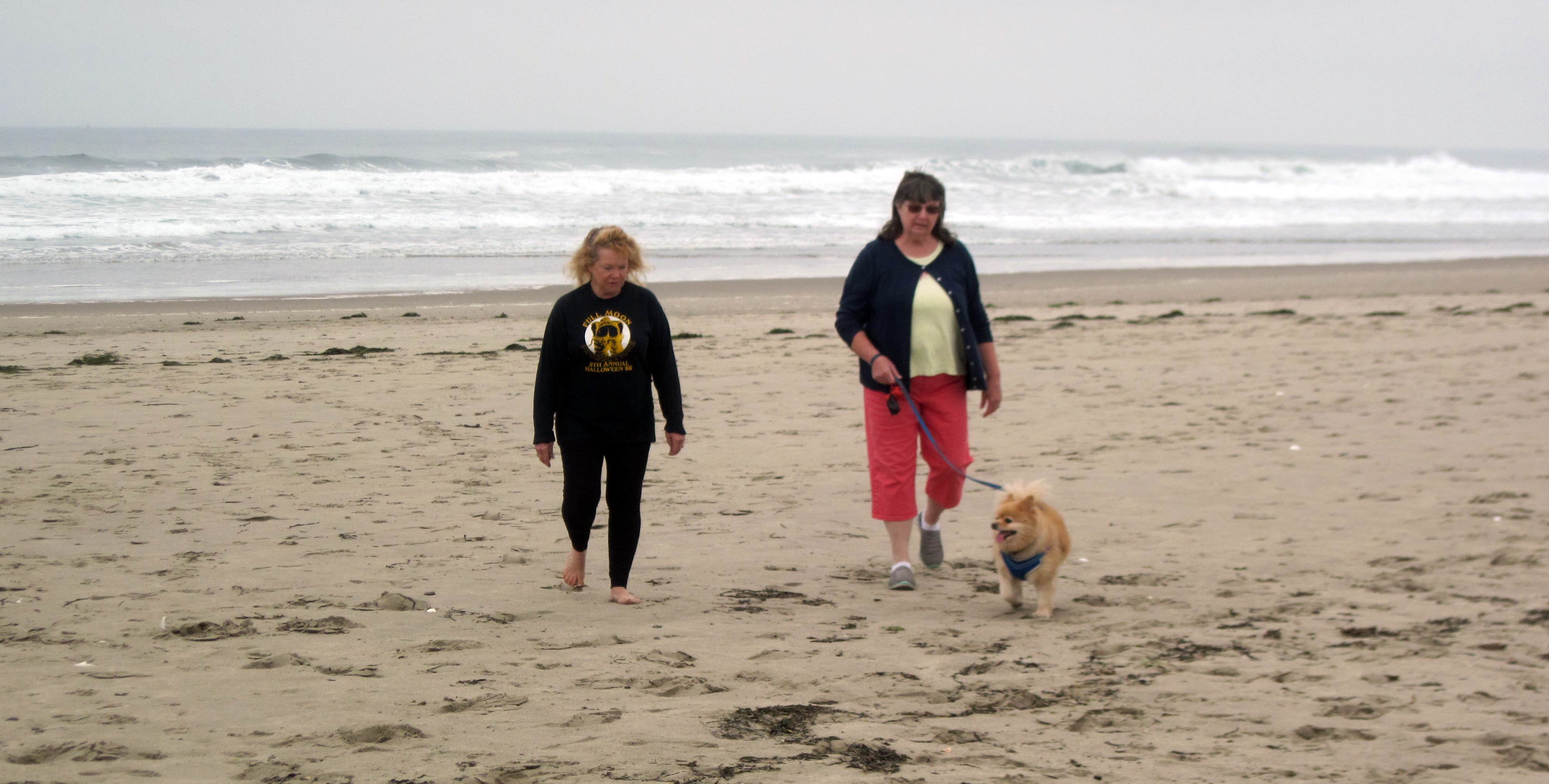 Robert D.'s photo of camping with pets at Barview Jetty County Campground near Beaver, OR