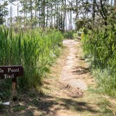 Review photo of Point Lookout State Park - Temporarily Closed by Tara S., May 30, 2018