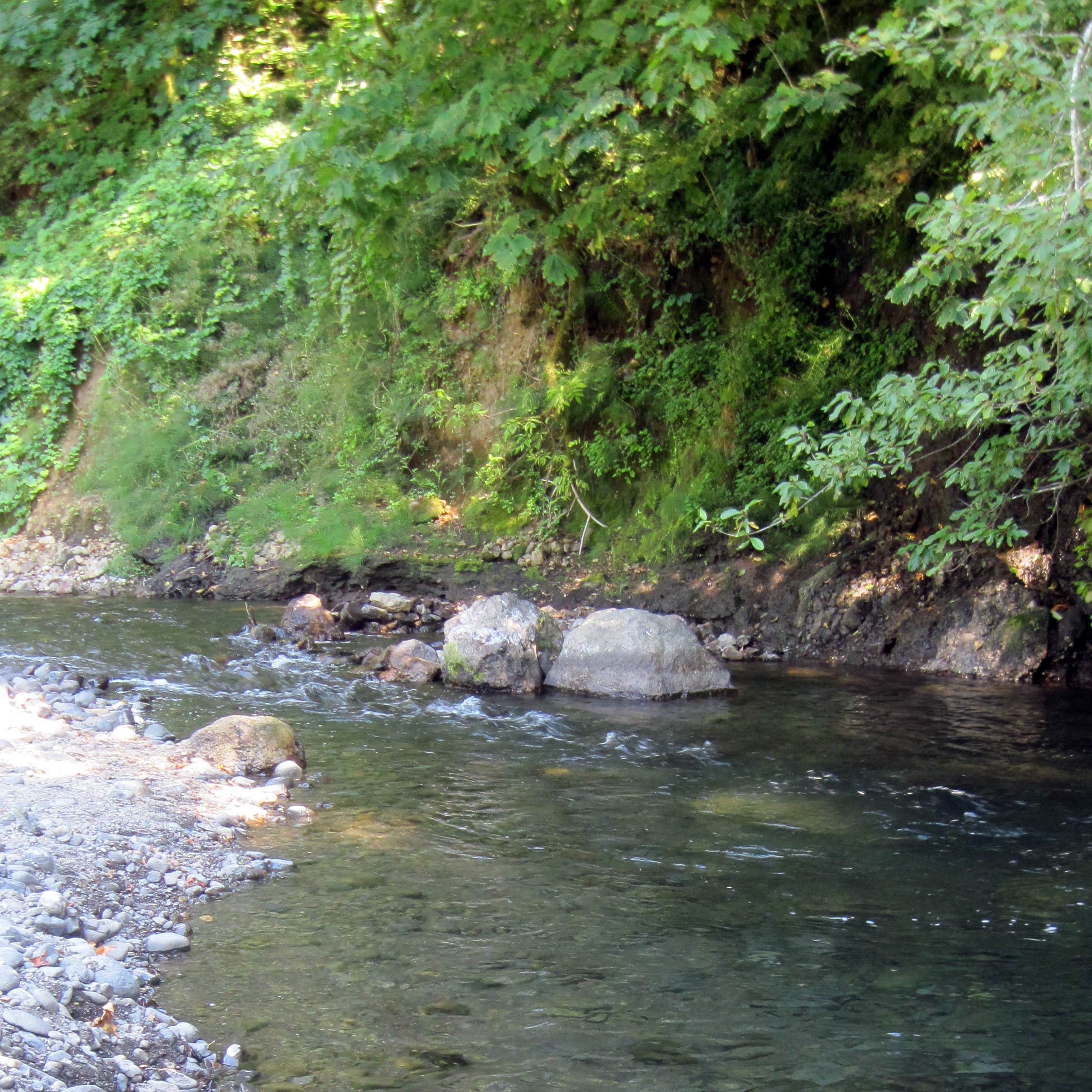 Kilchis Park Camping The Dyrt