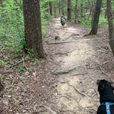 Review photo of Stone Door Campground — Savage Gulf State Park by Robbie M., March 9, 2021