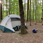 Review photo of Stone Door Campground — Savage Gulf State Park by Robbie M., March 9, 2021