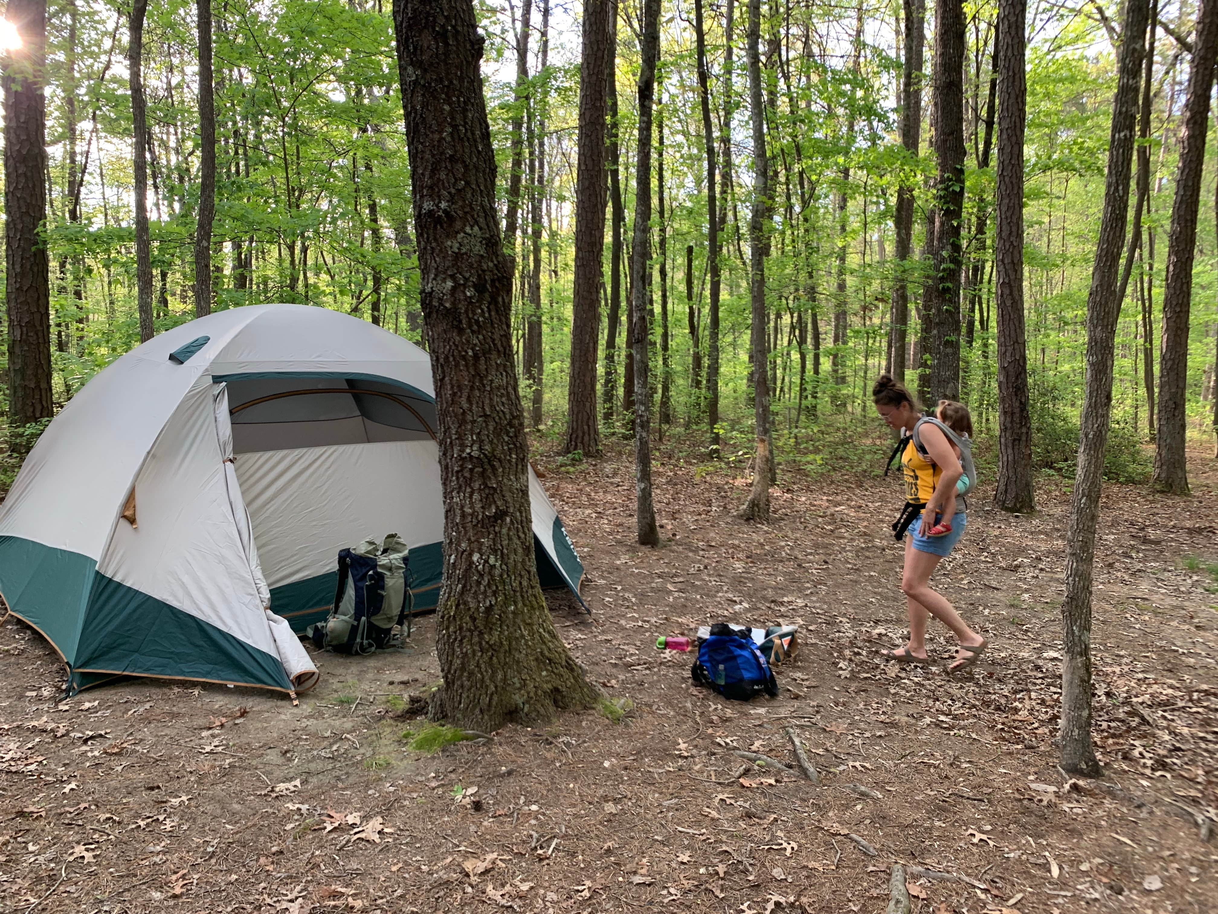 Camper submitted image from Stone Door Campground — Savage Gulf State Park - 4