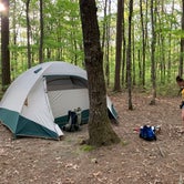 Review photo of Stone Door Campground — Savage Gulf State Park by Robbie M., March 9, 2021
