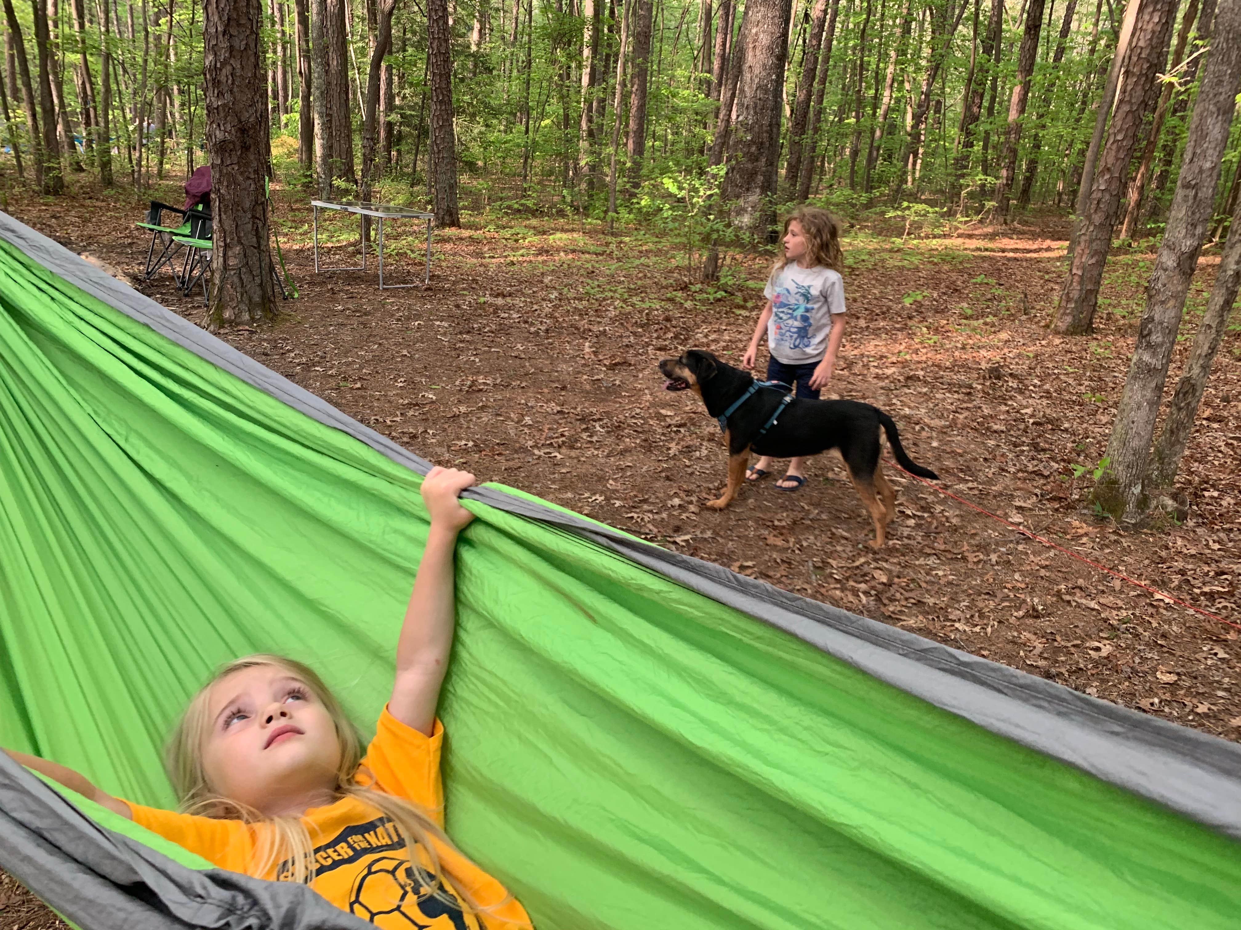 Robbie M.'s photo of camping with pets at Stone Door Campground — Savage Gulf State Park near Pocahontas, TN