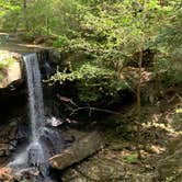 Review photo of Stone Door Campground — Savage Gulf State Park by Robbie M., March 9, 2021