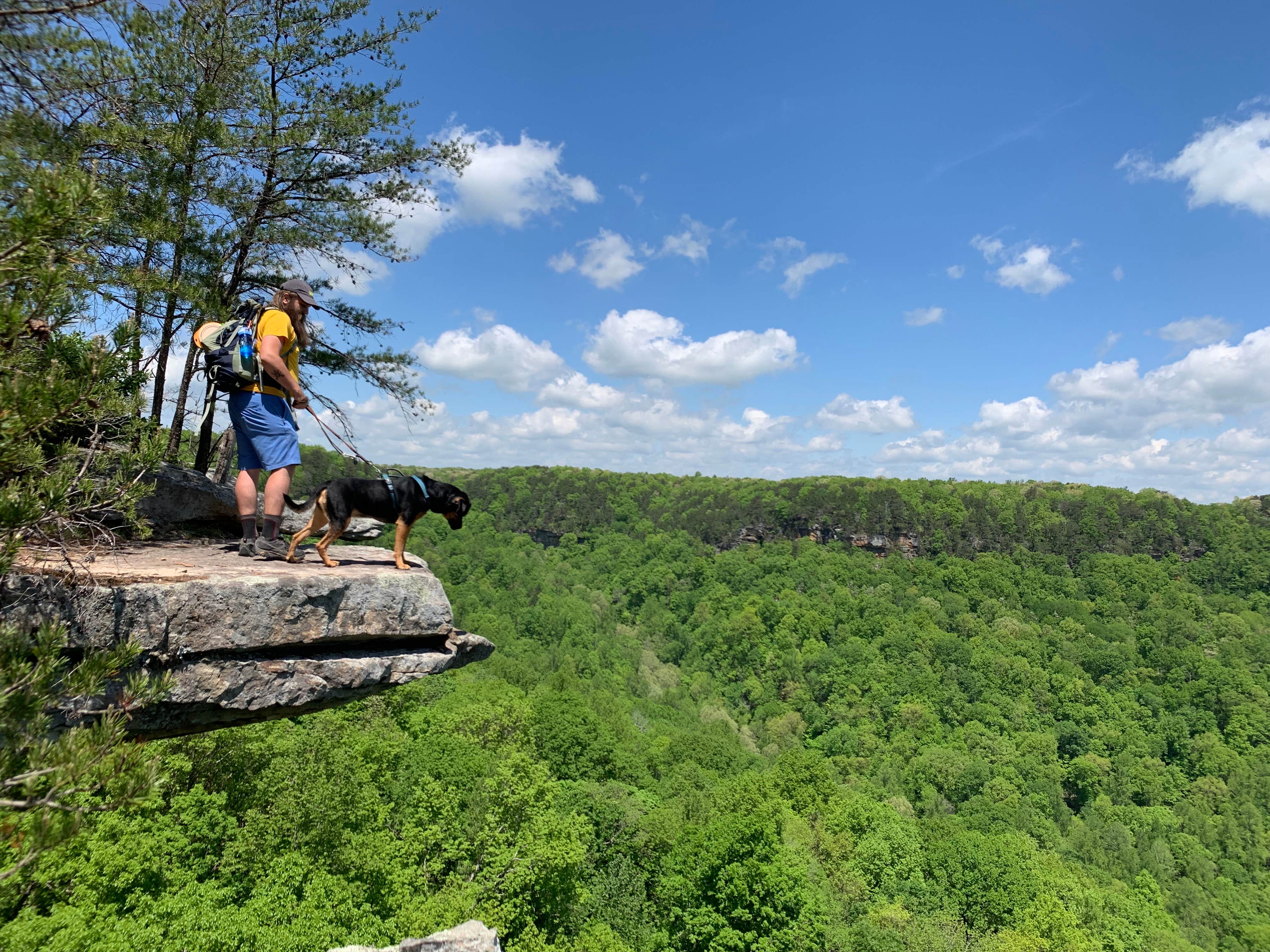 Robbie M.'s photo of camping with pets at Stone Door Campground — Savage Gulf State Park near Palmer, TN