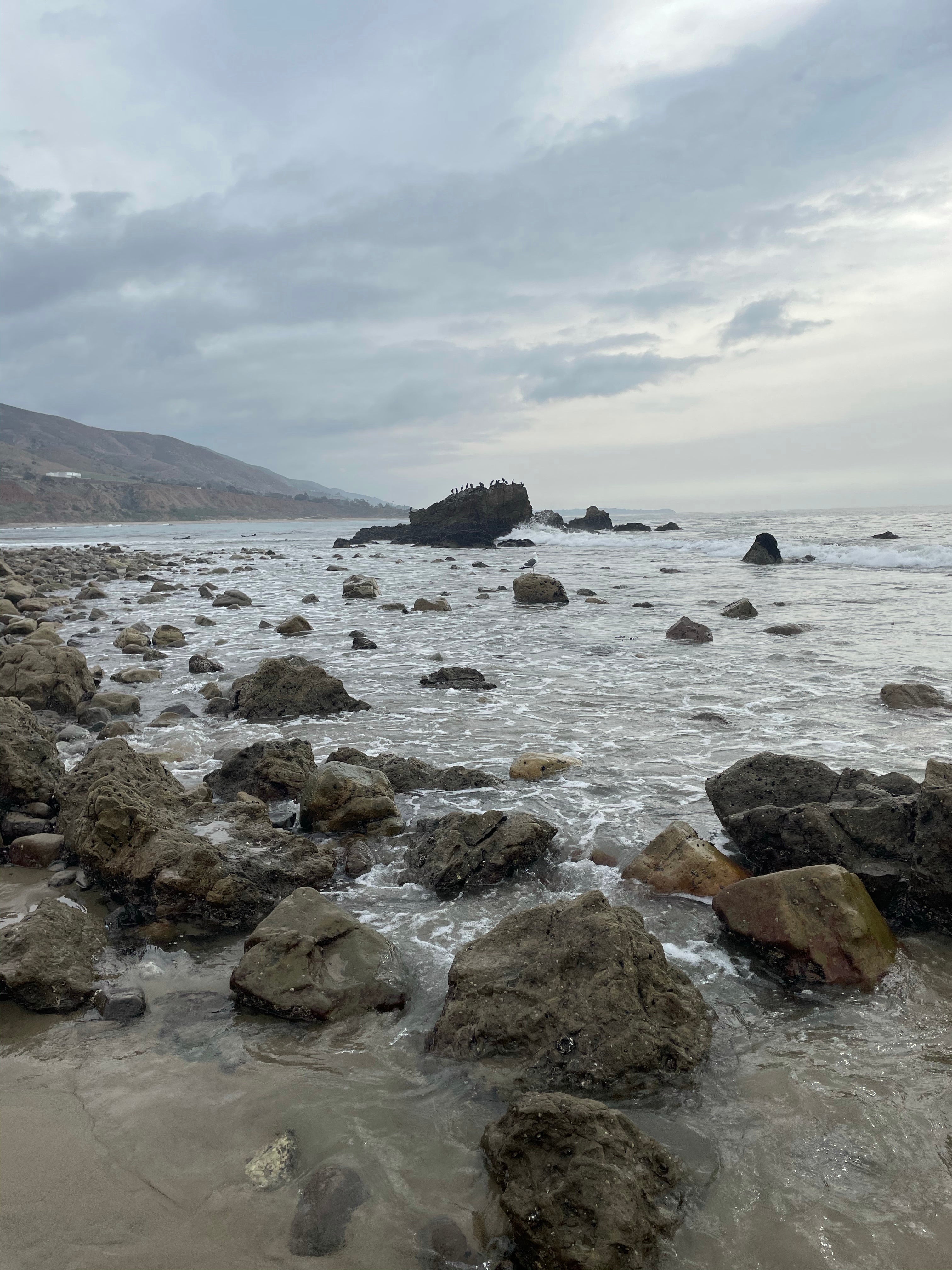 Camper submitted image from Leo Carrillo State Park Campground - 1